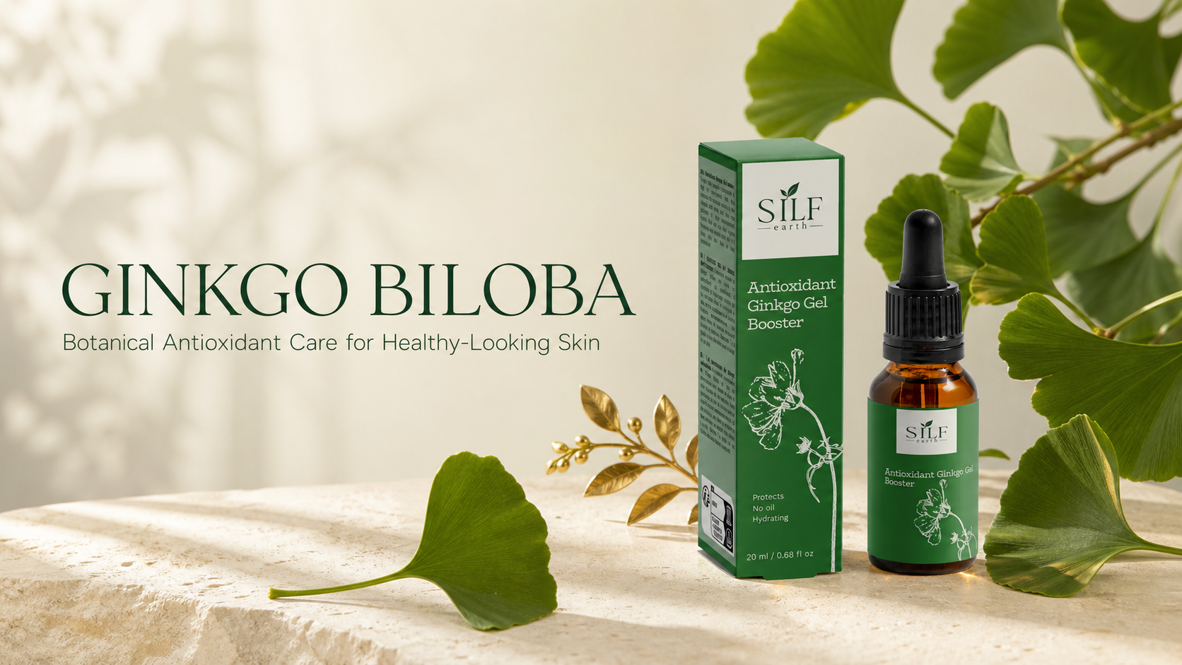 Ginkgo Biloba: Botanical Antioxidant Care for Healthy-Looking Skin