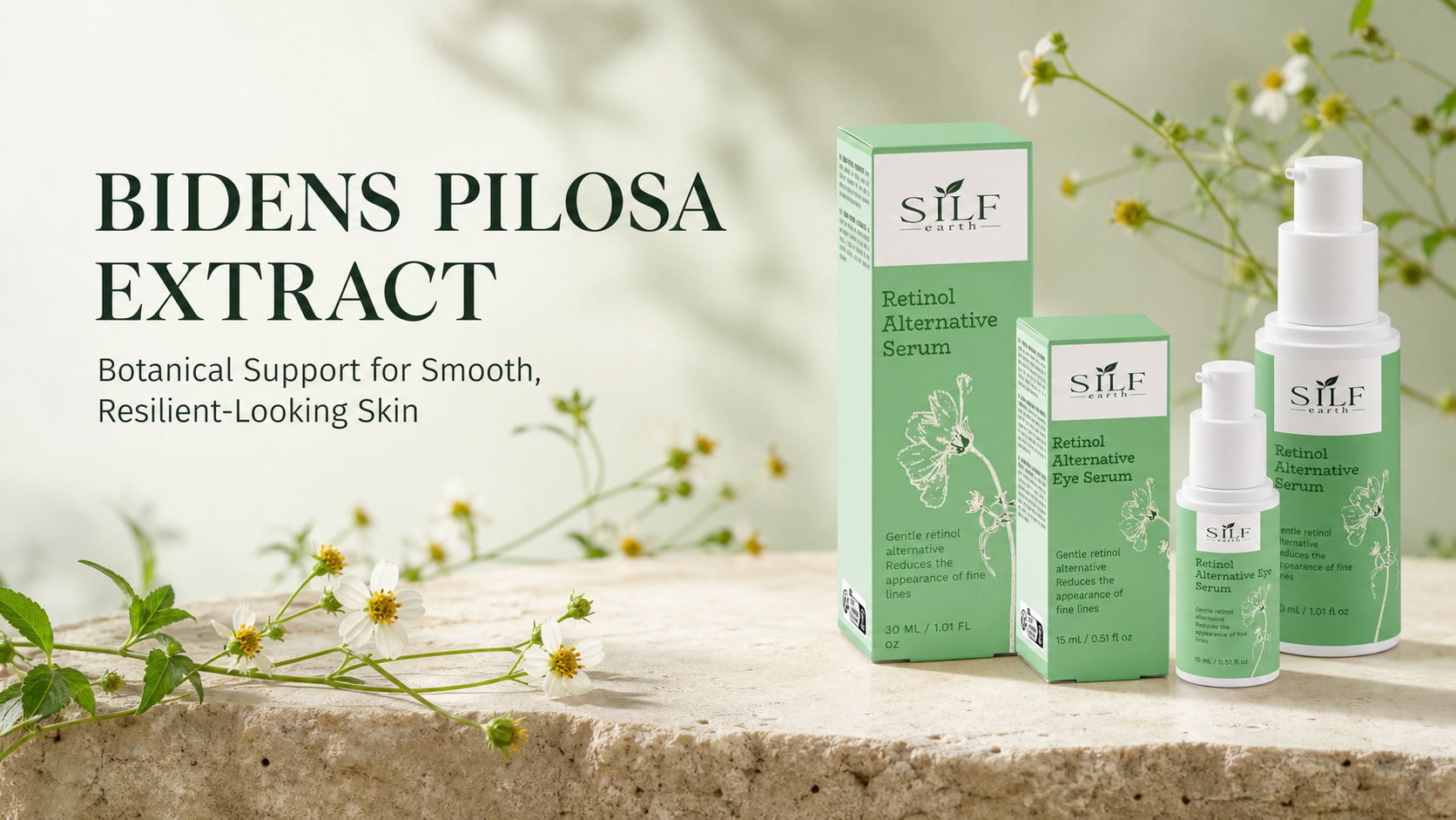 Bidens Pilosa for Skin: Benefits & Botanical Care | SILF Earth