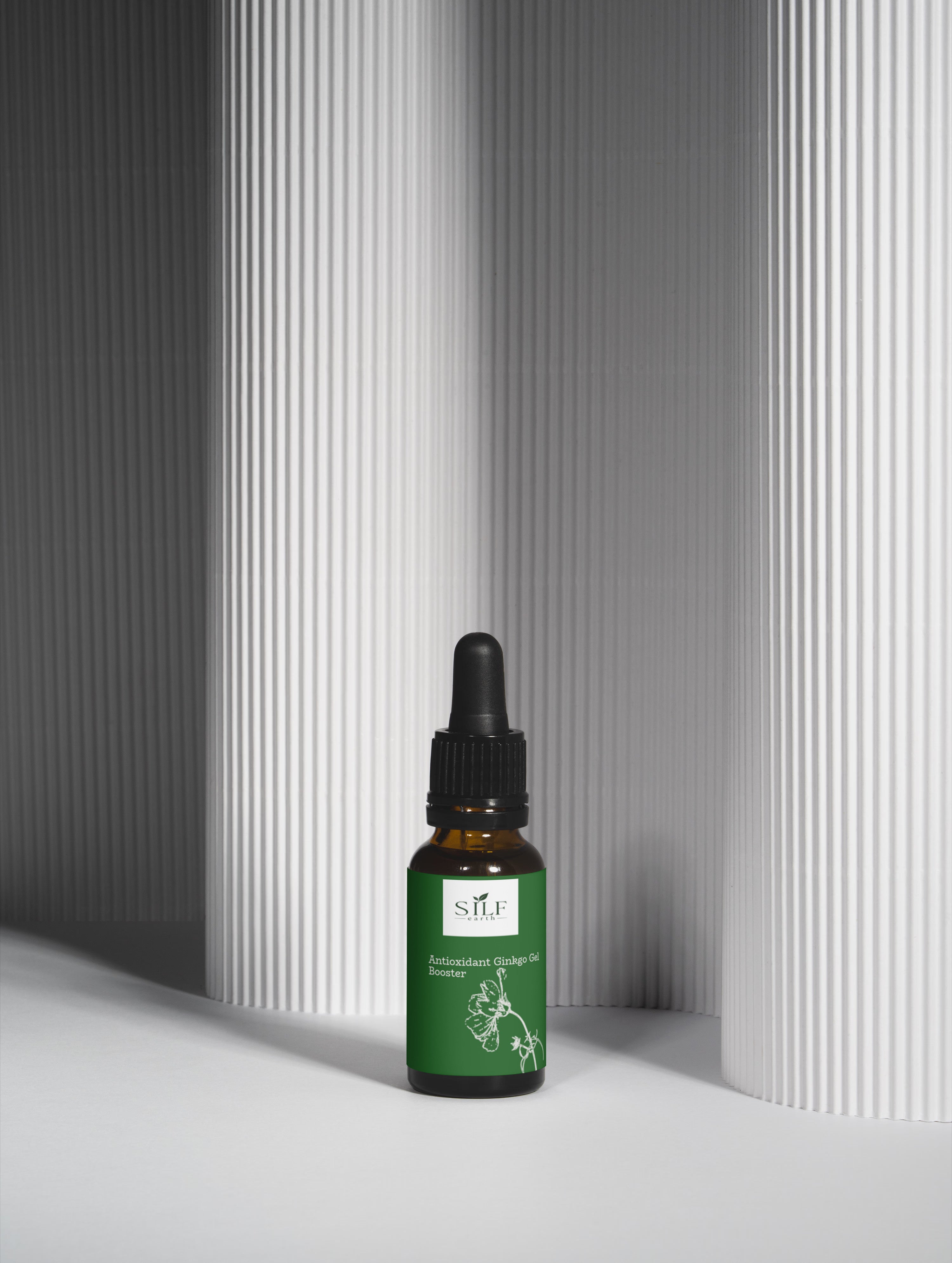 Ginkgo Biloba Antioxidant Booster